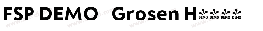 FSP DEMO   Grosen H字体转换